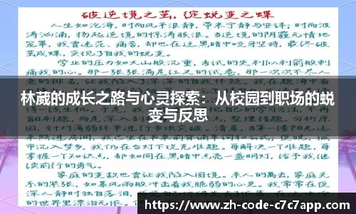 C7娱乐官网入口